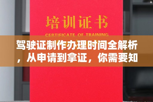 龙圩驾驶证制作办理时间全解析，从申请到拿证，你需要知道的一切